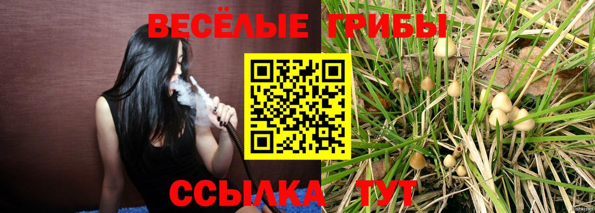 Галлюциногенные грибы прущие грибы  Псилоцибиновые грибы мицелий  Вход с VPN  Джанкой 