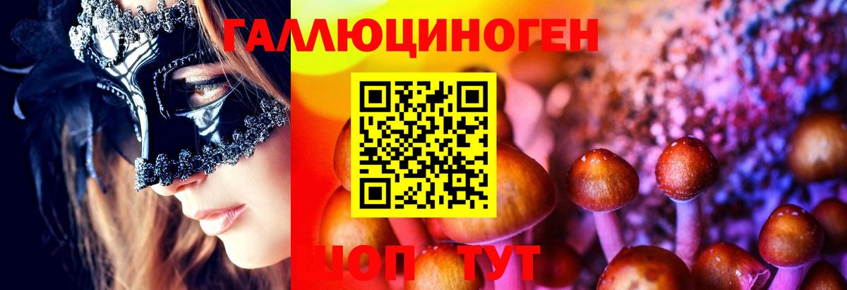 Галлюциногенные грибы GOLDEN TEACHER Джанкой